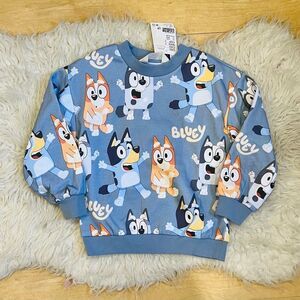 NWT Bluey pull over sweater boy or girl 4-6